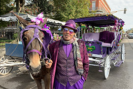 Experience Mardi                                                    Gras on the River