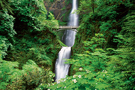 Multnomah Falls